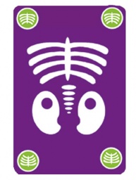 Bogoss - strategická a fosforeskující karetní hra