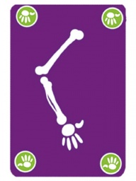 Bogoss - strategická a fosforeskující karetní hra