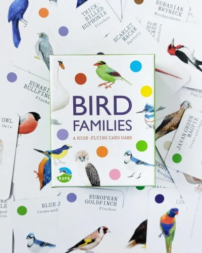 Kvarteto Ptačí rodinky (Bird Families)