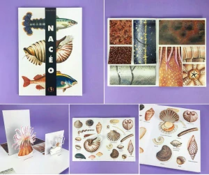 Nacéo - kniha s odklápěcími chlopněmi Pittau - Gervais