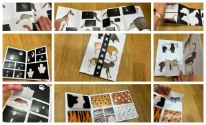 Axinamu - kniha s odklápěcími chlopněmi