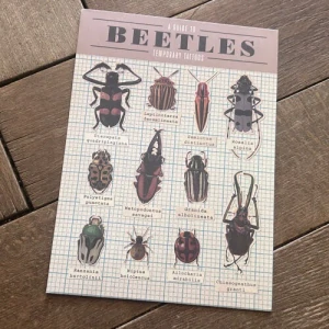 Tetování pro děti Brouci (Rex London)