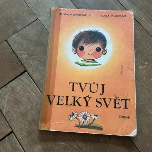 Tvůj veliký svět - Edita Plicková, Ondřej Syrovátka