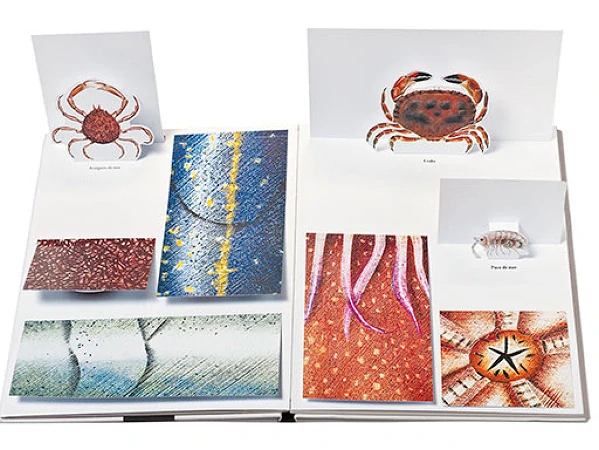 Nacéo - kniha s odklápěcími chlopněmi Pittau - Gervais