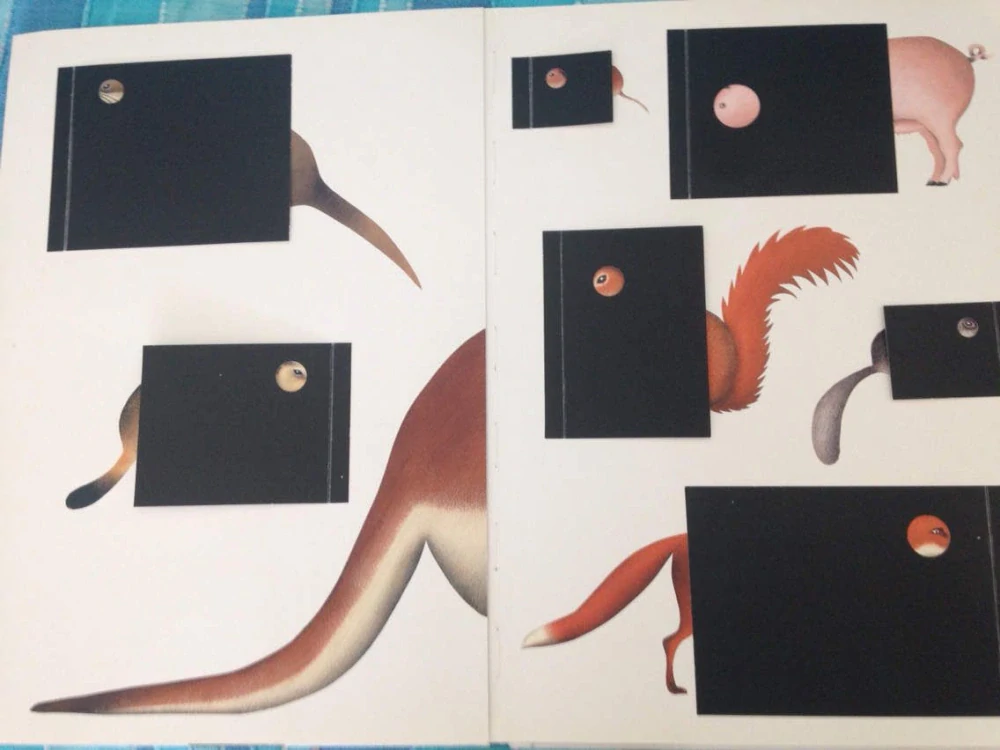 Axinamu - kniha s odklápěcími chlopněmi