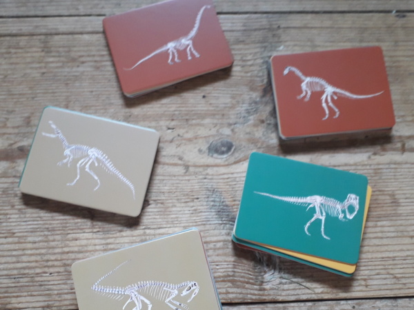 Najdeš správnou kostru? Dinosauří pexeso / Match These Bones