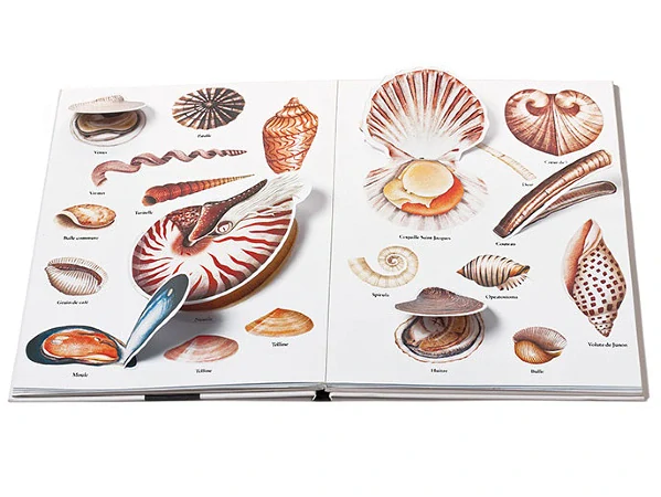 Nacéo - kniha s odklápěcími chlopněmi Pittau - Gervais