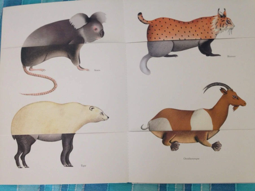 Axinamu - kniha s odklápěcími chlopněmi