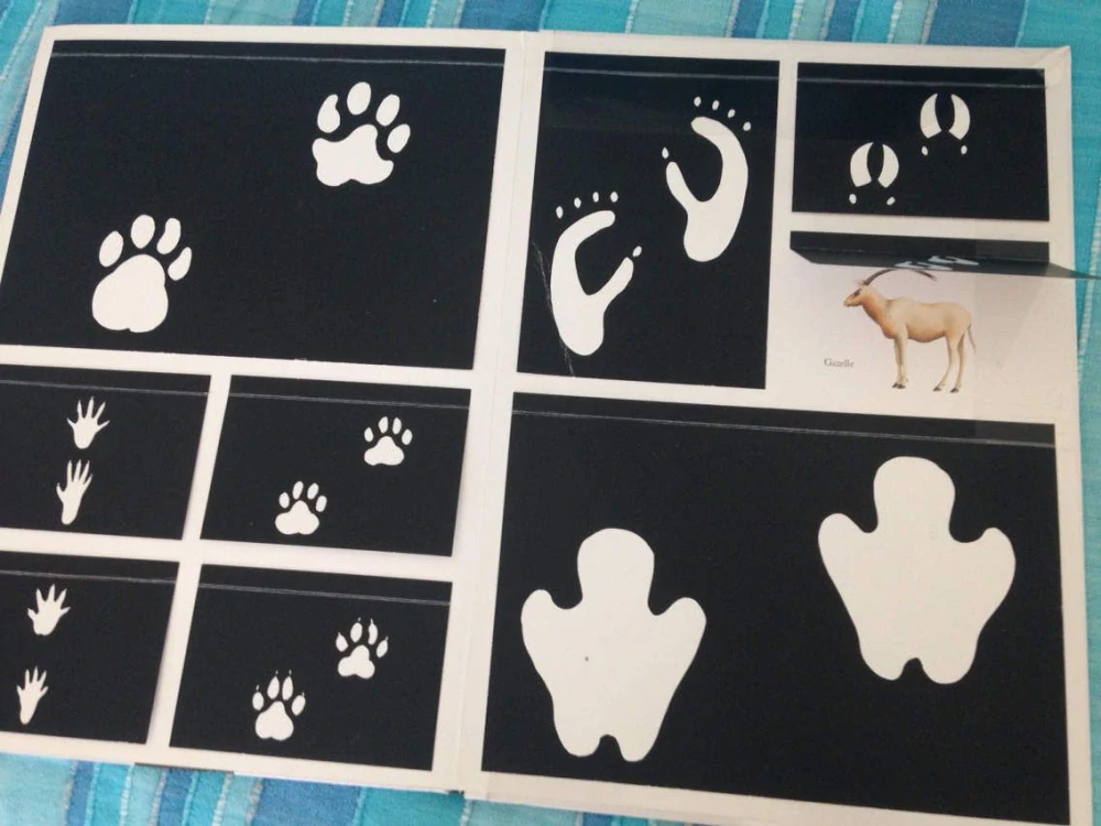 Axinamu - kniha s odklápěcími chlopněmi