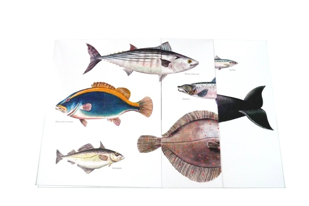 Nacéo - kniha s odklápěcími chlopněmi Pittau - Gervais