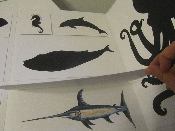 Nacéo - kniha s odklápěcími chlopněmi Pittau - Gervais