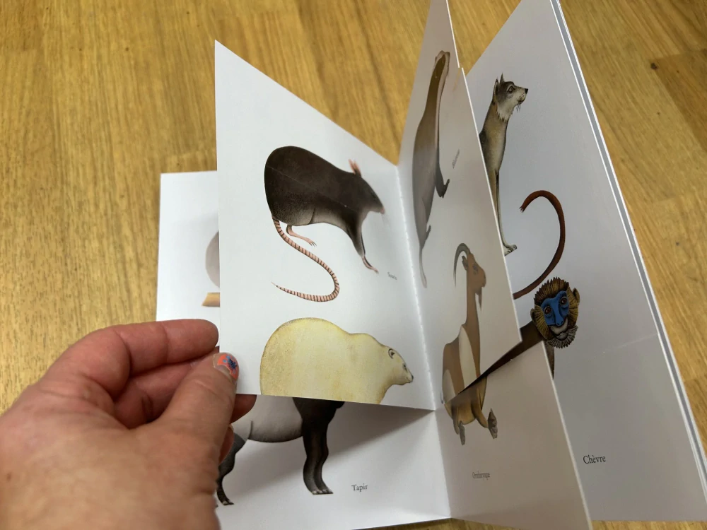 Axinamu - kniha s odklápěcími chlopněmi