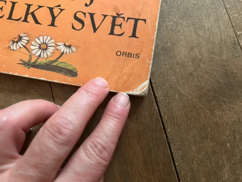 Tvůj veliký svět - Edita Plicková, Ondřej Syrovátka