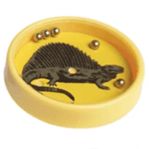 Kuličkový hlavolam dinosauři - průměr 5 cm