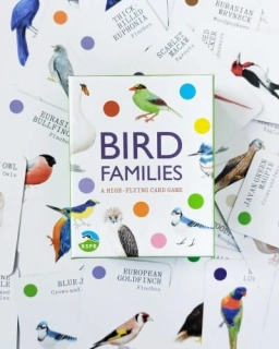 Kvarteto Ptačí rodinky (Bird Families)