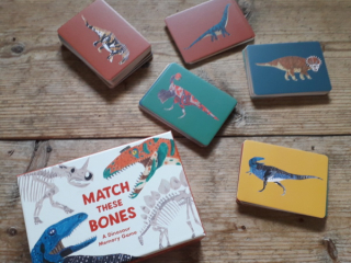 Najdeš správnou kostru? Dinosauří pexeso / Match These Bones